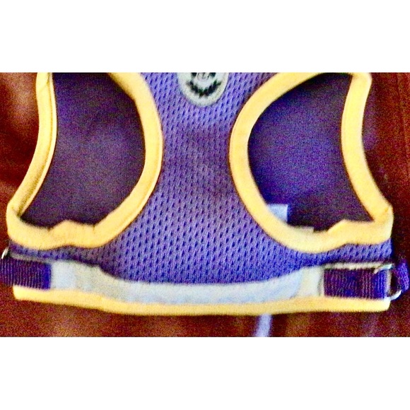 Dogs Harness and leash and dog brush,. new - Picture 15 of 16